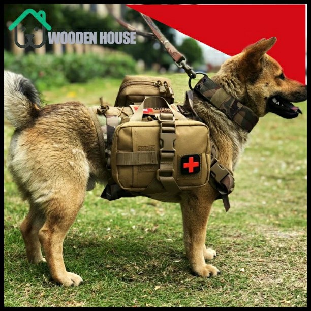 ריתמה צבאית לכלב
